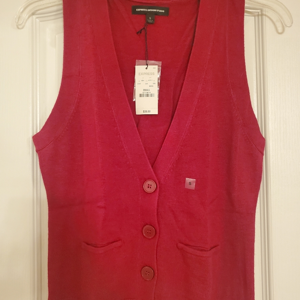 Express sweater vest